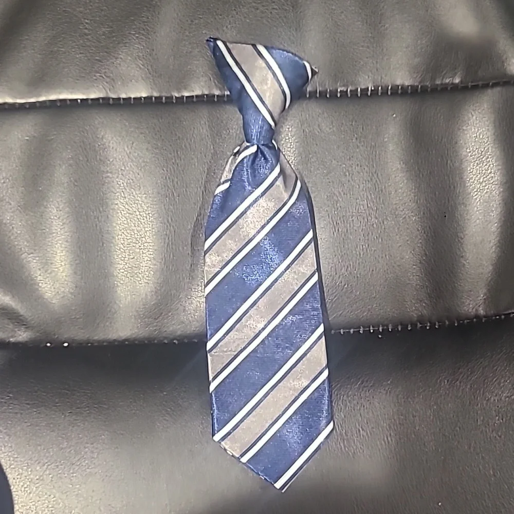 Clip On Tie